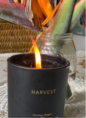 Harvest Essential Oil Candles