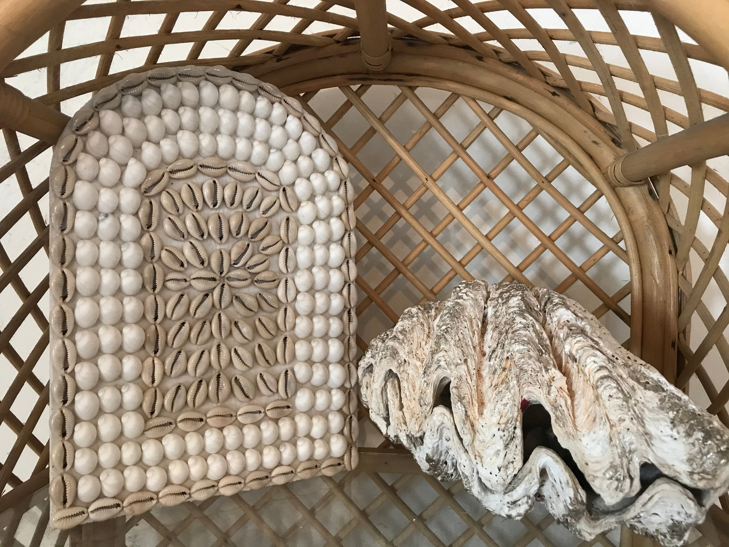 Shell Crush Wall Art