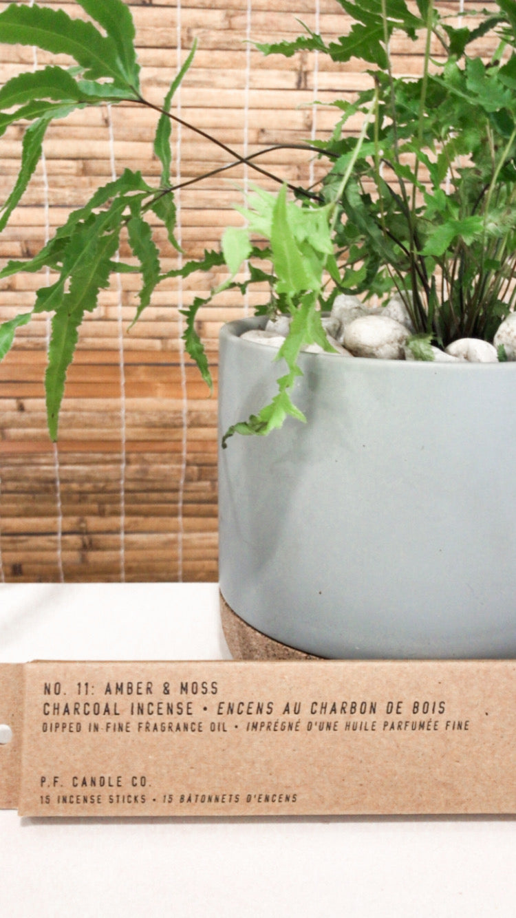 P.F Candle Co Amber Moss Incense