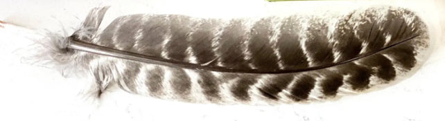 Smudging feature