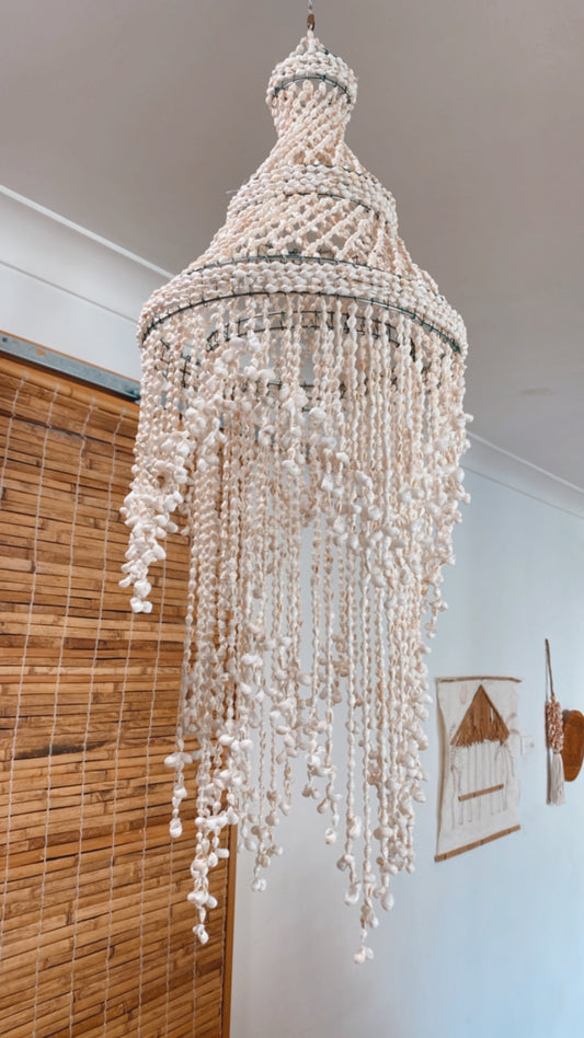 Shell Chandelier 
