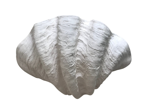 Clam Shell White