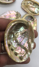 Abalone Shell Smudge Bowls Mysticbysea