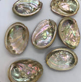Abalone Shell Smudge Bowls Mysticbysea